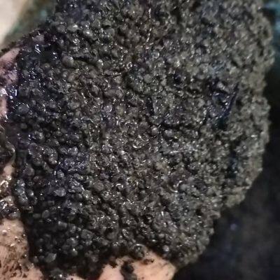 Anaerobic Granular Sludge