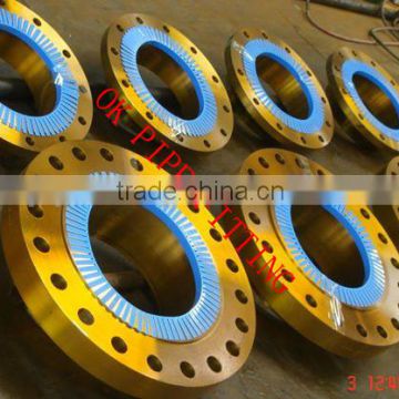 1000 mm ms blank flange - item 1