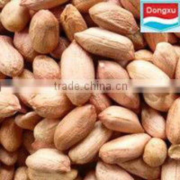 raw peanuts prices 24/28