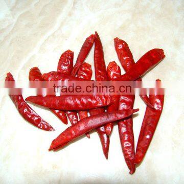 Tian ying dried red Chilli