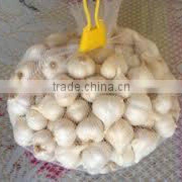 NEW VIETNAMESE WHITE GARLIC