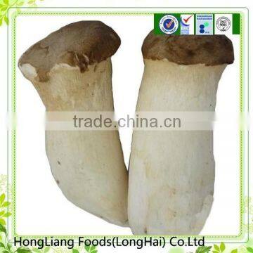 Professional supplier raw king oyster mushroom production