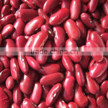 Kidney Bean