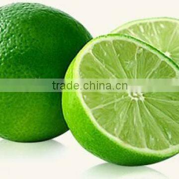 CONCENTRATED FROZEN PERSIAN / TAHITI LIME JUICE 400 GPL (New Season 2016) photo-2