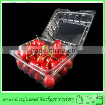 PET cheap blister disposable plastic fruit tray