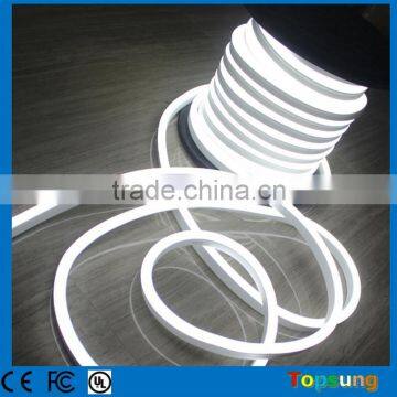 Trade Assurance Professional Top View Led Neon Tube Factory photo-2