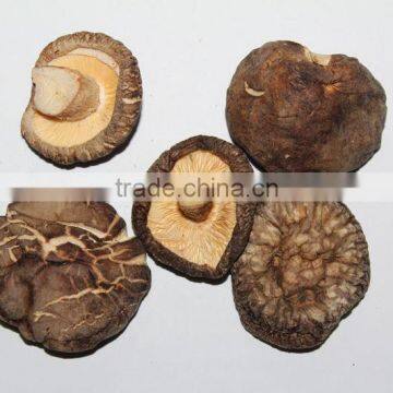 GRADE A ( CAP 4-5 CM ) Dried Shiitake Mushroom -2015 NEW