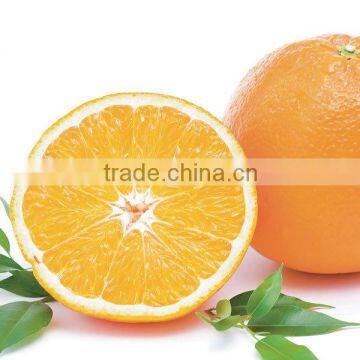 We are supply Fresh Navel Orange with good quality for sale