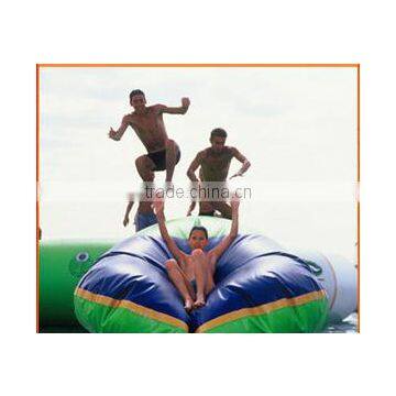 10-20Passenger CE ISO9001Giant Inflatable Water Slide for Adult Inflatable Slide