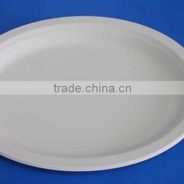 Biodegradable Plate