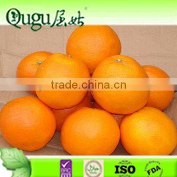 NEW SEASON NAVEL ORANGE