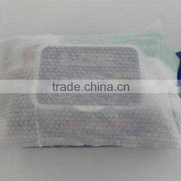 Adult Wipes Travel Container