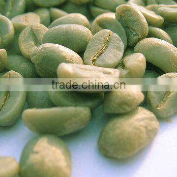 Vietnam Robusta Coffee Bean Natural Unwashed Quality ( Viber/Whatsaap: 0084965152844)