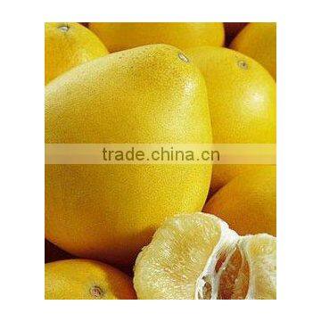 Low price honey Pomelo