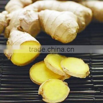 Competitive price wholesale fresh young ginger