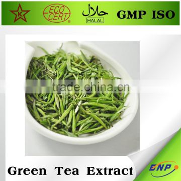 BNP professional supplier organic green tea extract