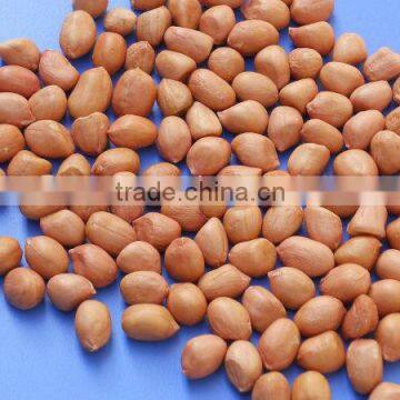 Java peanut /groundnut kernel