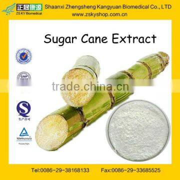 Sugar Cane Extract from GMP Certified Manufacturer