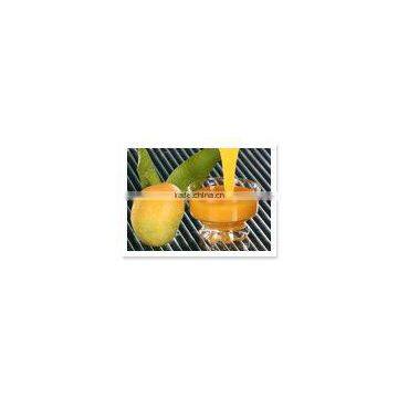 Totapuri Mango Pulp