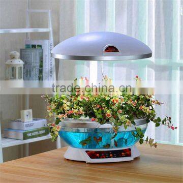 ceramic flowerpots