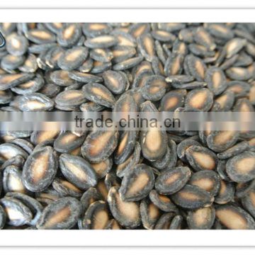 black watermelon seeds new crop