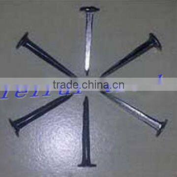 2017 Shoe Tack Agent for Nigeria Market