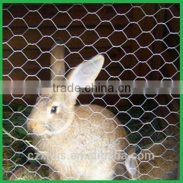 RABBIT CAGE WIRE MESH