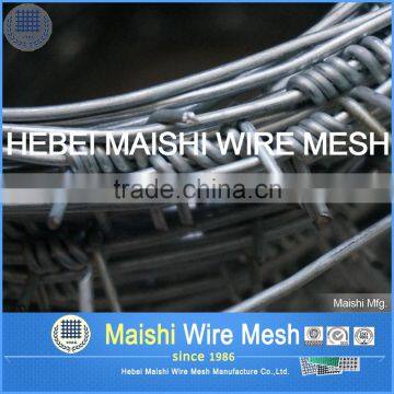 Good Quality Galvanized Barbed Wire Factory photo-3