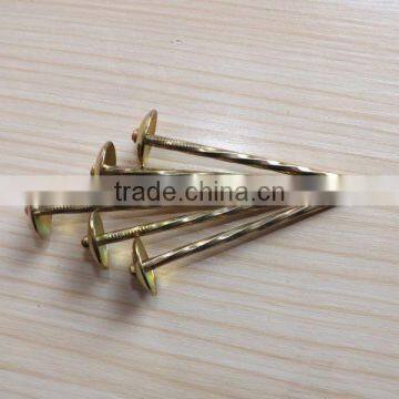 BWG9 BWG10 Export to Africa and Myanmar Indonesia E-galvanized Umbrella Head ROOFING NAILS photo-6