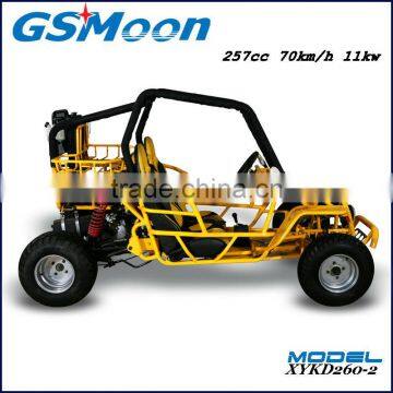 250cc Water Cooling EEC/EPA Sand Beach Buggy photo-2