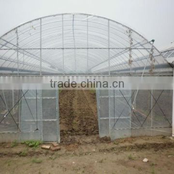 Transparent greenhouse protective film for vegetables