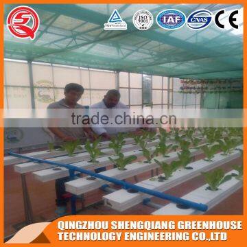 China Multi-span Glass Greenhouse Hydroponic Systems for Agriculture photo-5
