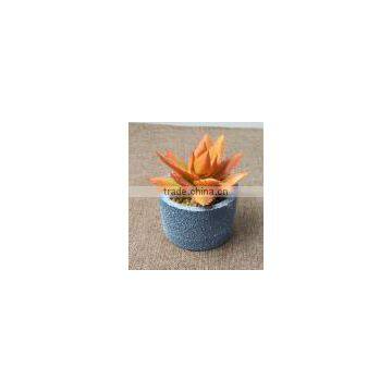 SJ10181201 Wholesale All Types Of Artificial Cactus Plants photo-5