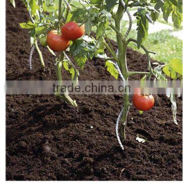 Galvanized Growing Spirals photo-4