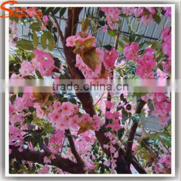 New Design Indoor Life Size Artificial Trees Plastic Cherry Blossom Branches for Wedding Decoration Cherry Tree photo-2