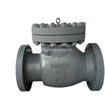 DIN/API Cast Steel Check Valve