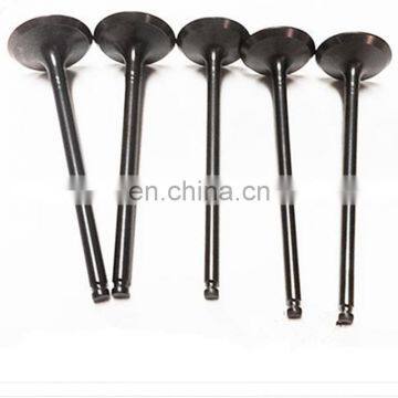 For China Fujian Lijia Sl2100 Sl2105 Sl3105 Sl4105 Sl4108 Diesel Intake and Exhaust Engine Valve Parts