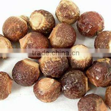 Superior Grade Soapnut Shell For OEM Manufacturing