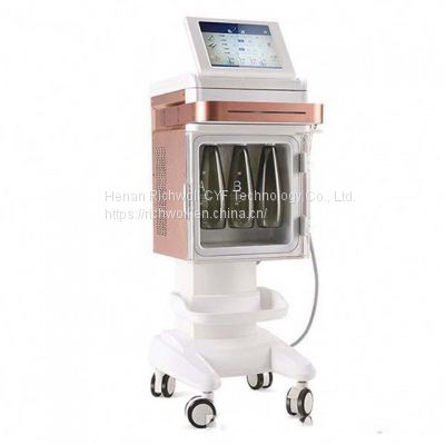 New arrival 5 in 1 oxygen facial water oxygen atomization pressure rf cold hot hammer Dermabrasion Machine