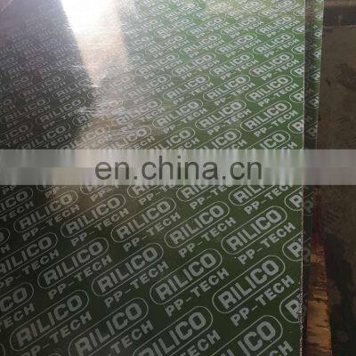 PP Film Faced Plywood Plastic Plywood photo-2