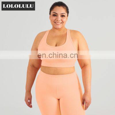 Custom Eco High Impact Seamless Sports Racer Back Gym Sexy Bra Women Plus Size Yoga Top