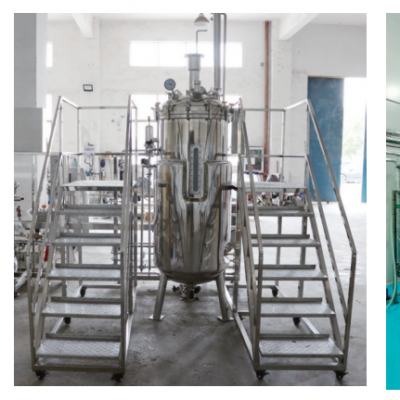 Industrial Pilot Fermentation System with Multi-Tank Parallel Control, GasMix Workstation & Siemens PLC