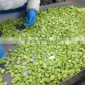 selling bulk frozen fava bean kernel in low price with good quality