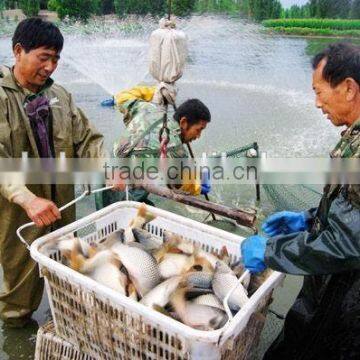 Product for Rich Fish Pond Water