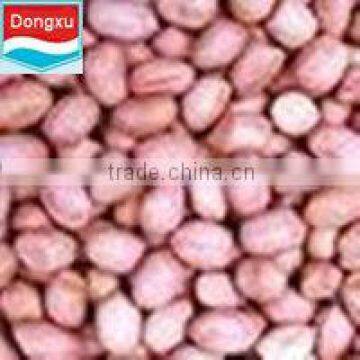 factory directly sale peanut 40/50