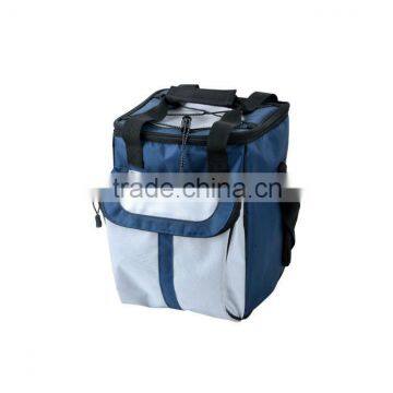 21L mini portable car cooler bag 12V