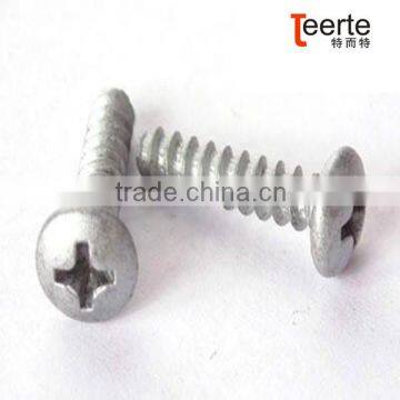 PHILLIPS TRUSS SELF TAPING SCREW WITH FLAT TAIL photo-5