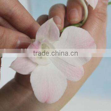 Various Best Selling High Simulation Wholesale Butterfly Orchid photo-2