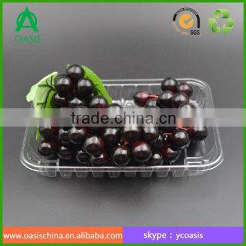 Wholesale clamshell disposable plastic fruit salad tray packaging