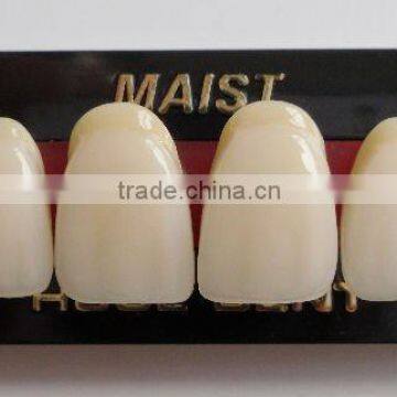 synthetic polymer teeth MAIST S5